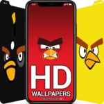 angry bird wallpapers android application logo